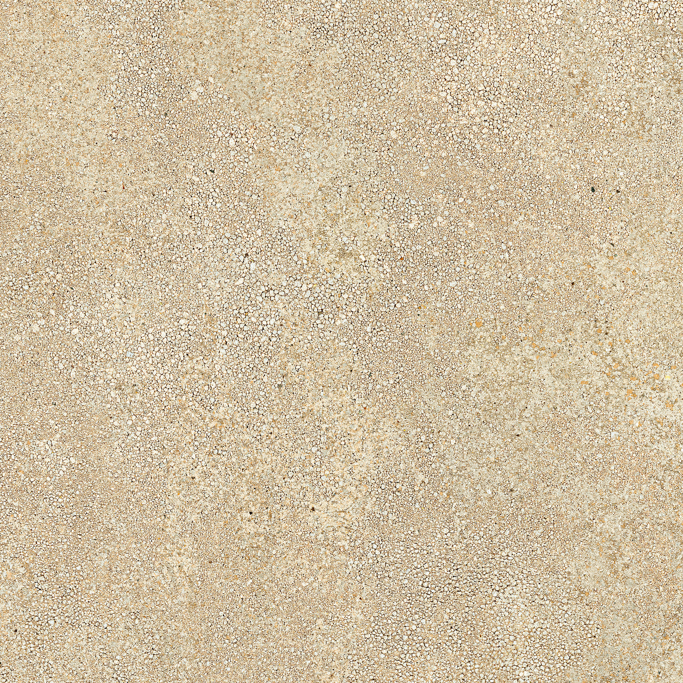 LEVATA™ - ENHANCE™ BY EMSER TILE — Emser Tile